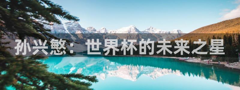 葡萄牙世界杯赛程：孙兴慜：世界杯的未来之星