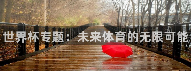 2026世界杯：世界杯专题：未来体育的无限可能