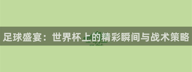 世界杯赛程时间表：足球盛宴：世界杯上的精彩瞬间与战术策略
