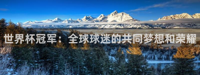 2026世界杯欧洲预选赛赛程表：世界杯冠军：全球球迷的共同梦想和荣耀
