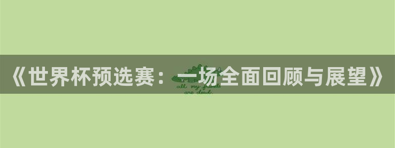 今年世界杯:《世界杯预选赛:一场全面回顾与展望》