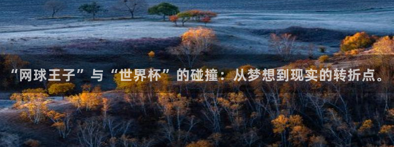 2026世界杯倒计时：“网球王子”与“世界杯”的碰撞：从梦想到现实的转折点。