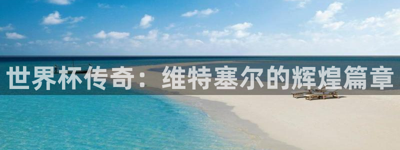 2026年男足世界杯：世界杯传奇：维特塞尔的辉煌篇章