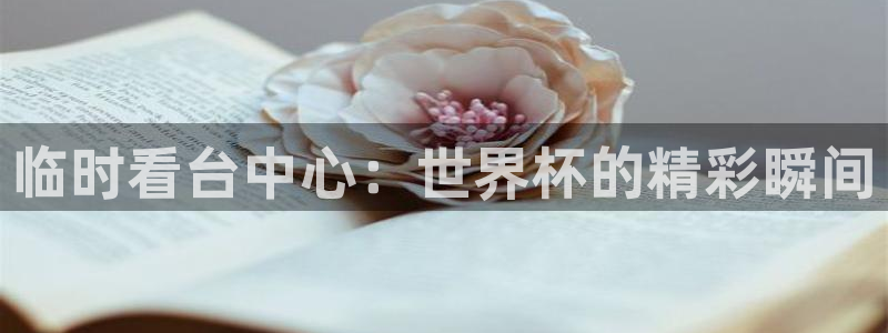 2026世界杯对阵图：临时看台中心：世界杯的精彩瞬间