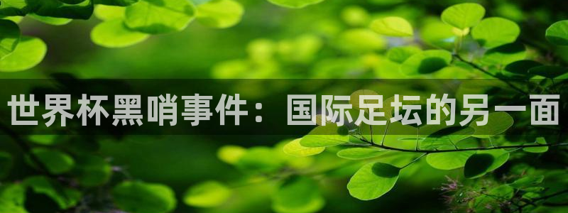 足球世界杯时间：世界杯黑哨事件：国际足坛的另一面