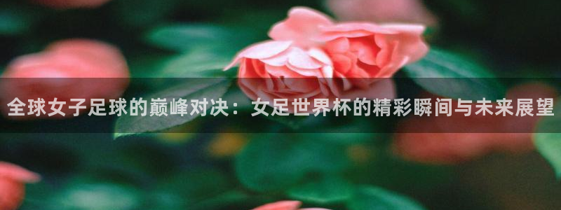2026年男足世界杯：全球女子足球的巅峰对决：女足世界杯的精彩瞬间与未来展望