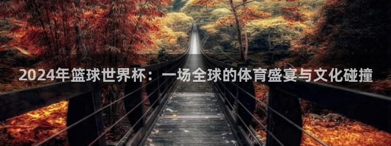 世界杯女足直播：2024年篮球世界杯：一场全球的体育盛宴与文化碰撞