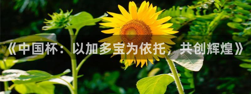 世界杯葡萄牙赛程：《中国杯：以加多宝为依托，共创辉煌》