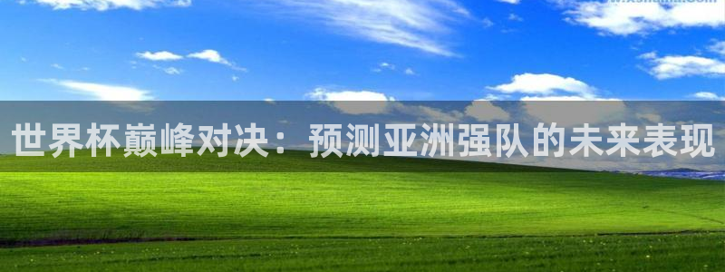世界杯决赛直播：世界杯巅峰对决：预测亚洲强队的未来表现