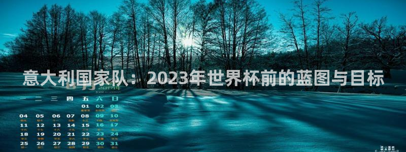 世界杯2026赛程：意大利国家队：2023年世界杯前的蓝图与目标