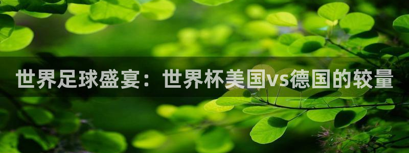 世界杯赛程2026：世界足球盛宴：世界杯美国vs德国的较量