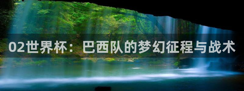 世界杯比赛：02世界杯：巴西队的梦幻征程与战术