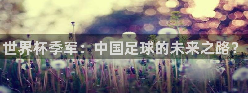 2026世亚预赛赛程表：世界杯季军：中国足球的未来之路？