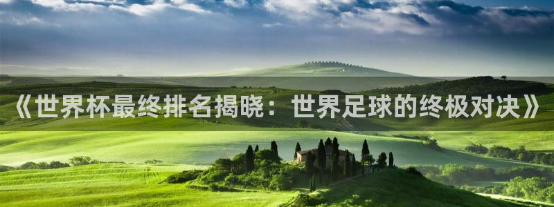 世界杯2026预选赛：《世界杯最终排名揭晓：世界足球的终极对决》